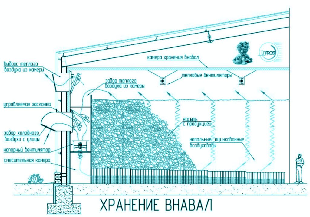 Вентиляция овощехранилища