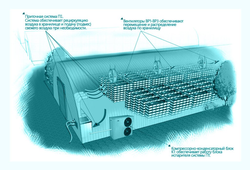 схема вентиляции овощехранилища
